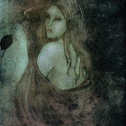 Bez_tytulu-2_card