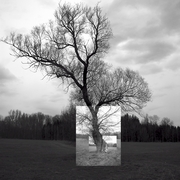 Bavarin_wood_1_card