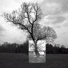Bavarin_wood_1_thumb