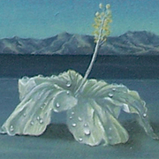 Taking_leave_hibiscus_close_up_card