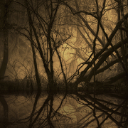 Riviere_du_mal_card
