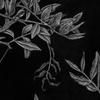 Detail_n2_thumb