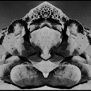 Untitled-13b1_card