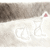 Red_rose_tiny_square