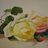 Roses_thumb