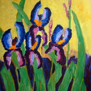2255_card