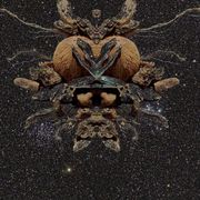 Space_card