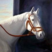 The_horse_by_nazimmehmet_card