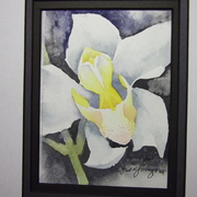 Hawaii_004_card