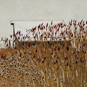 Winter_harvest_card