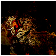 Heart_of_stone_card