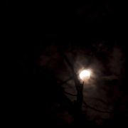 Lunar_eclipse-2_copy_card