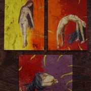 Serie_40x36_oleo_sobre_madera_card
