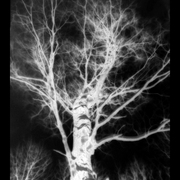 Untitled-1_card