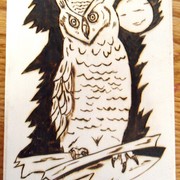 Owl_card