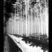Untitled-1_card