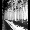 Untitled-1_thumb