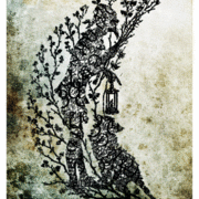 Moonlight_card