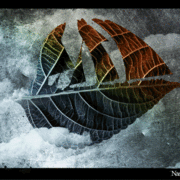 Peaceful_journey_card