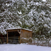 Old_shed_card
