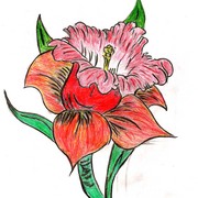 A__21__card