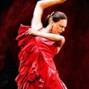 Flamenco_card
