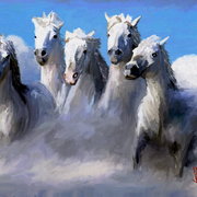 White_storm_01_card