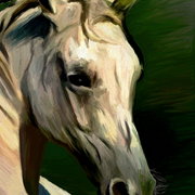 Ivory_card