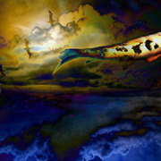 Flyingfish_copy_card