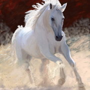 Free_spirit_card