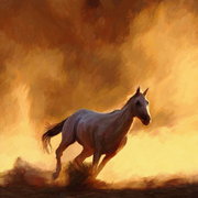 Desert_run_card