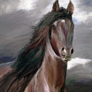 Dark_horse_card