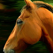 Chestnut_card