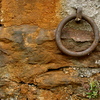 Dsc03697_thumb