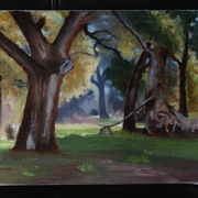 Img_4553_card