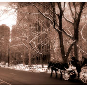 Cariage_in_nyc_2_card