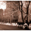 Cariage_in_nyc_2_thumb