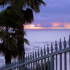 102_0300_thumb