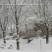 Blizzardjanuary12th2011_card