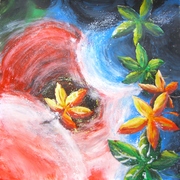 Cimg8072_card