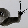 Snail_thumb