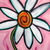 Pink-daisy_tiny_square