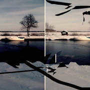 5292426939_ae6a8505ac_b333_card