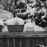Snow_on_fence_edited-1_card