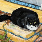 Outdoorcat_card