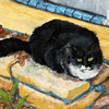 Outdoorcat_thumb