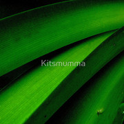 435798-5-after-the-rain_watermark_card