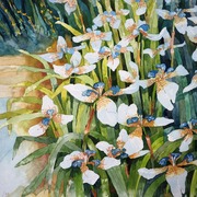 Lilies_023_card
