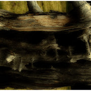 9963266_1__card