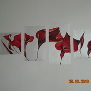 Dscn4157_card